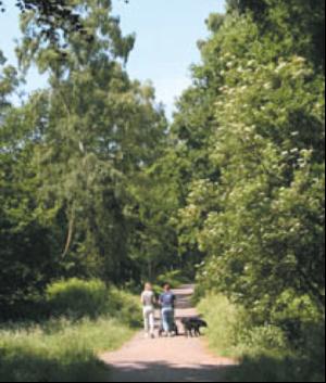 Business becomes friend of the forest