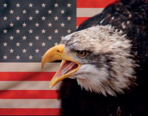 Political risk - it's back…
