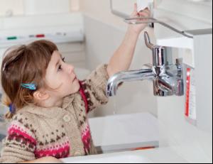 Are you of a paper towel persuasion?