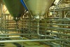 Why dust control is vital in the food industry