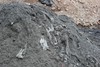wipes-in-sewer-blockage-material-1024x683
