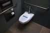 toilet1