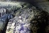 Fatberg Q&A with the firm behind the famous Whitechapel fatberg