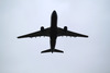 COVID-19 flights