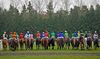 Facilities management at Newbury Racecourse