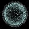 Coronavirus: What to expect next