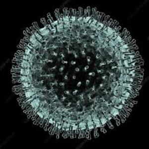 Coronavirus: What to expect next