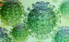 Government launches Coronavirus Information Service on WhatsApp